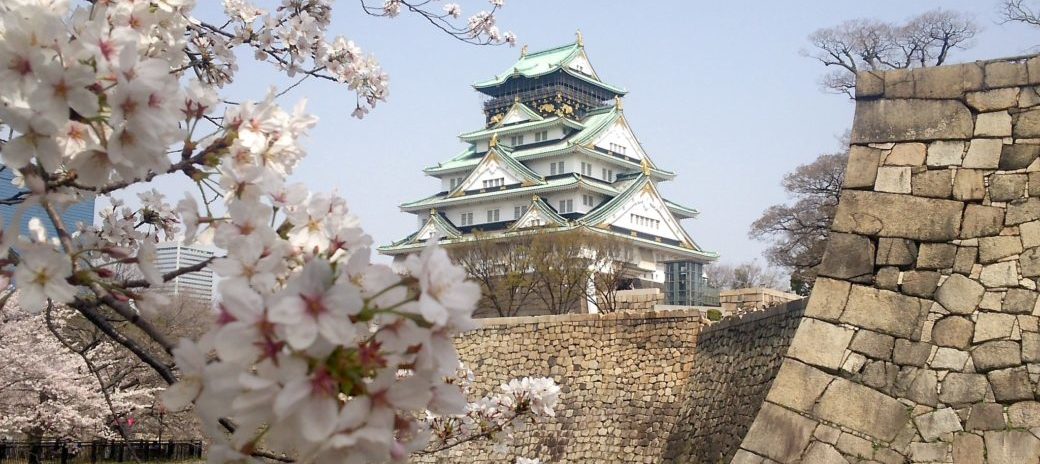 日本人の心に響く桜のはなし