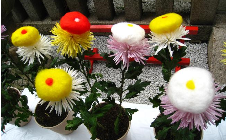 9.季節のお話~着せ綿~