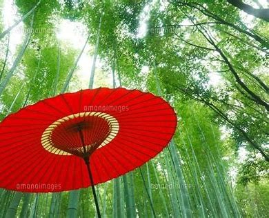 傘とは