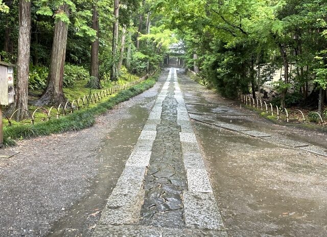 【城の歴史12】なぜ源氏は鎌倉に幕府を開いたのか