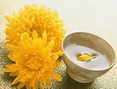 重陽の節供と菊慈童伝説