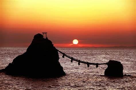 夏至から半夏生