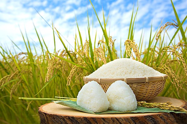 神嘗祭から新嘗祭へ